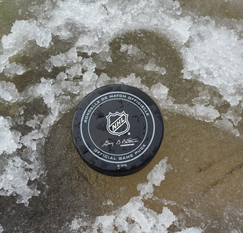Why ice hockey should be much more popular in Germany